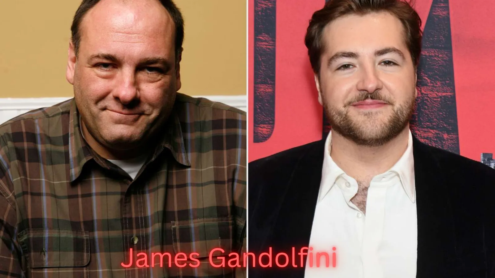 James Gandolfini